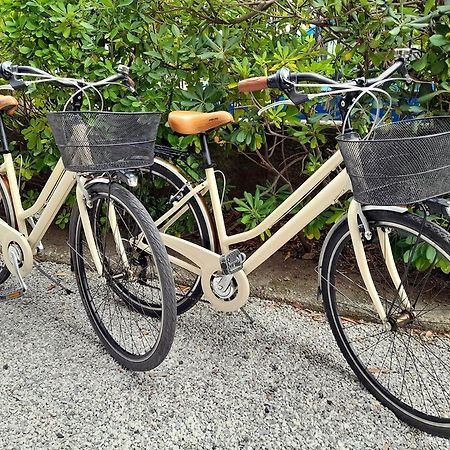 Apt Luminoso, Spazioso Con Aria Condiz E Bici Apartment เวียเรจโจ ภายนอก รูปภาพ