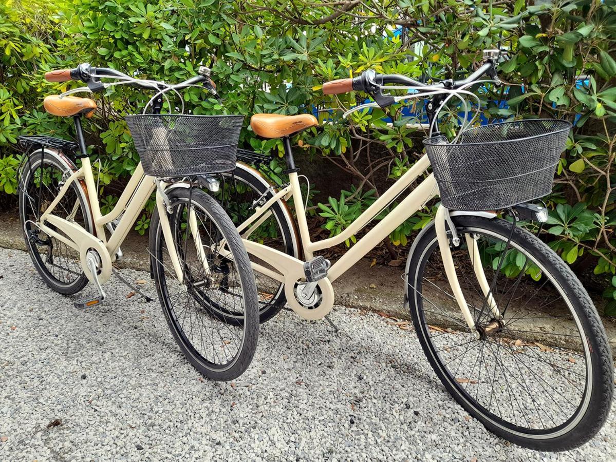 Apt Luminoso, Spazioso Con Aria Condiz E Bici Apartment เวียเรจโจ ภายนอก รูปภาพ